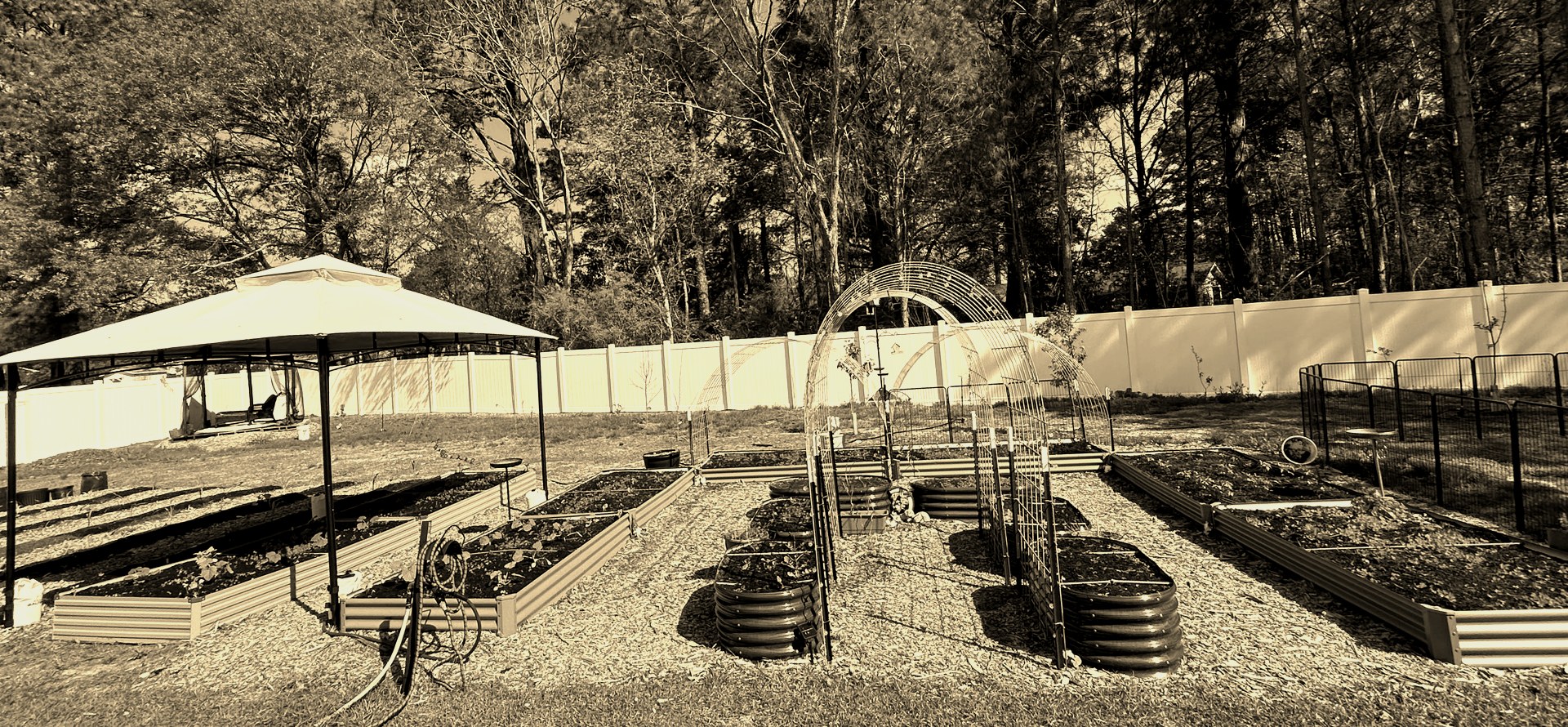 McMillan Microfarm raised beds and greenhouse